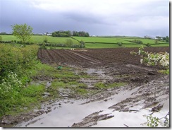 muddy field