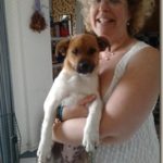 On Puppies and Men, Training, Training Training