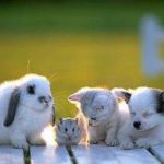 Dispelling the Love Myths #4 – Feeling love is enough